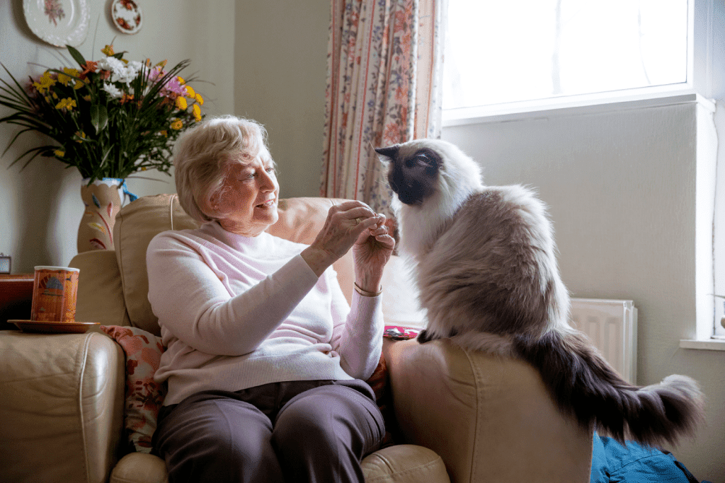 Women playing with cat