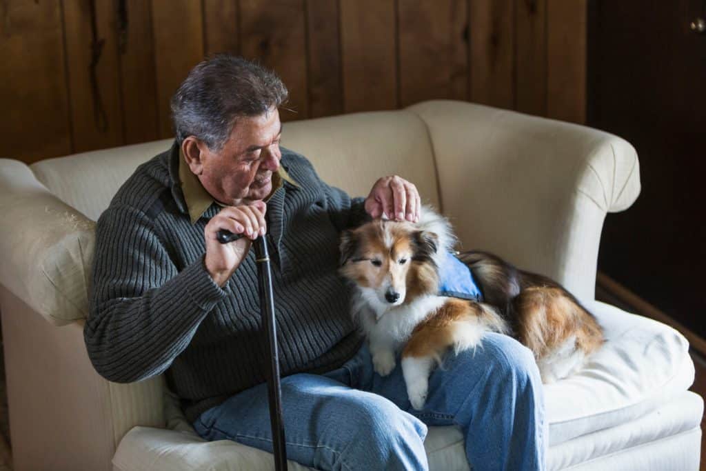 Senior disabled man sitting on couch with his pet dog, family caretaker jobs