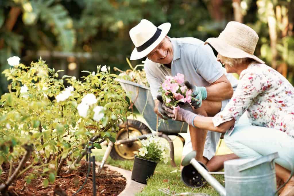 an elderly couple enjoying gardening at the backyard. outdoor activities for seniors