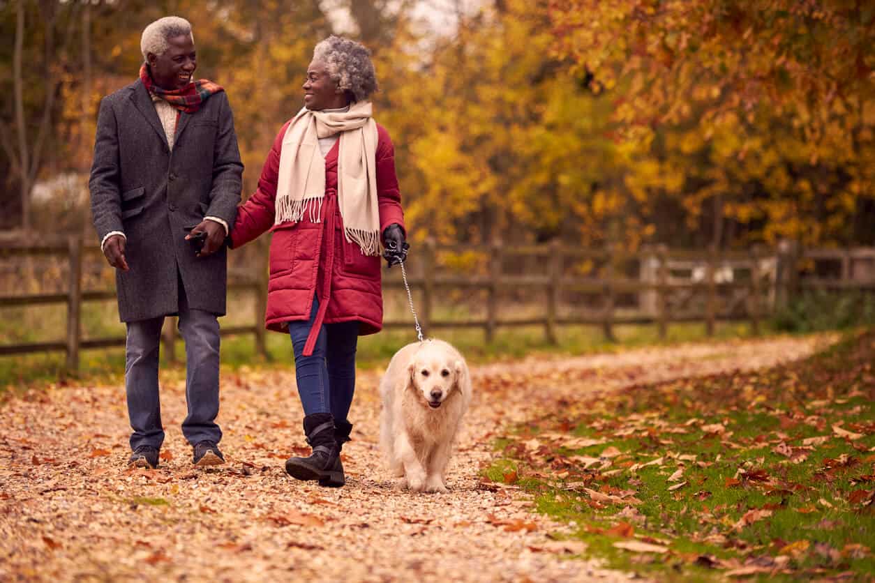 15 Amazingly Fun Outdoor Activities For Seniors to Enjoy With Love