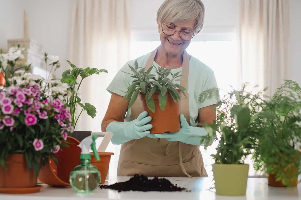 Senior women tending to her indoor garden - in-home activities for seniors