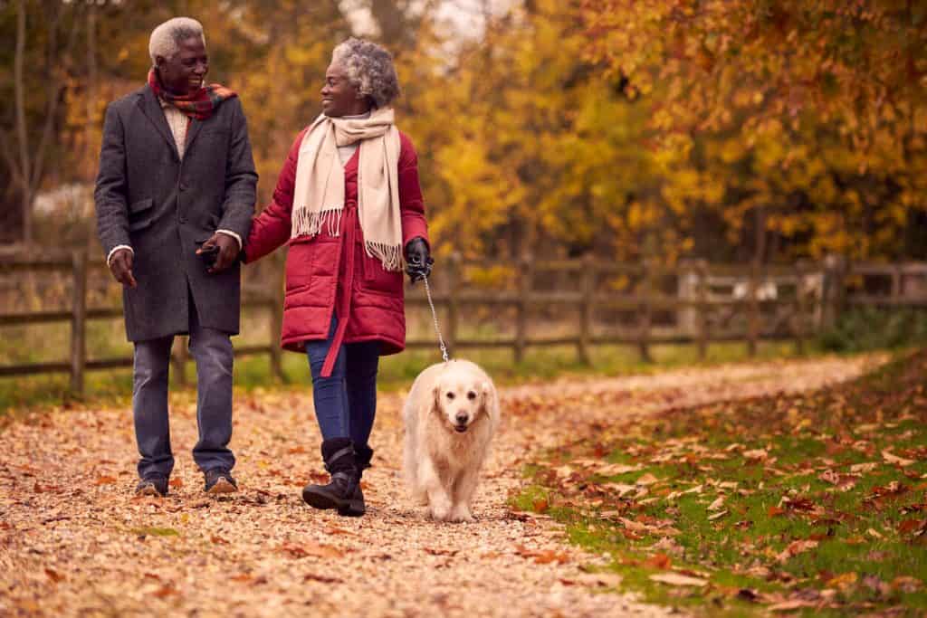 an elderly couple taking a walk with their golden retriever dog, questions to ask for assisted living
