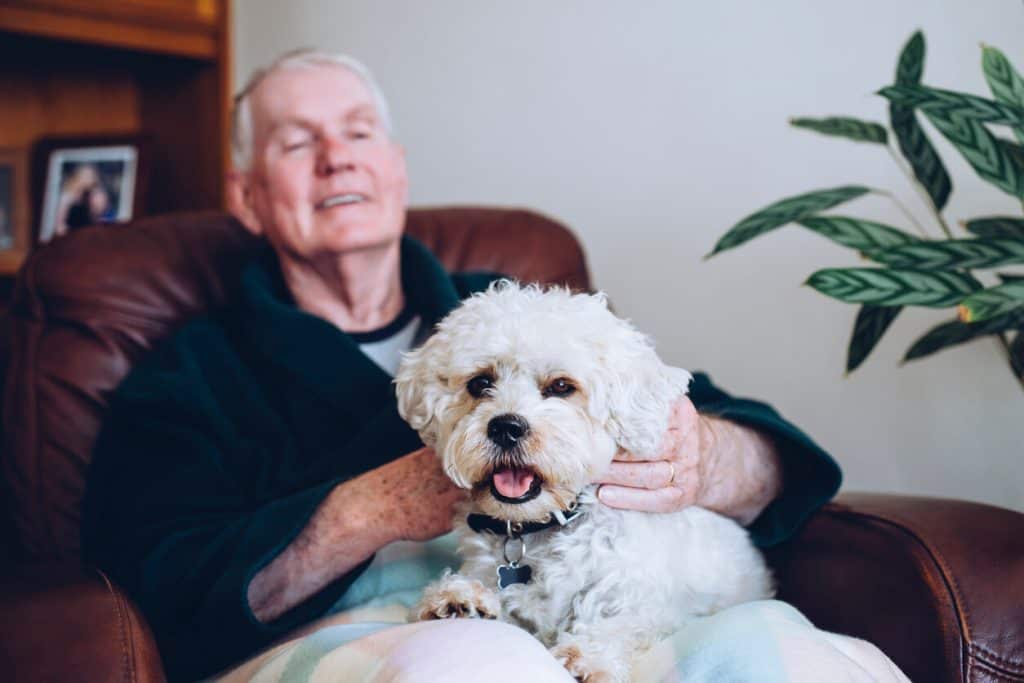 Senior man sitting in leather recliner with his pet dog watching the news, luxurious assisted living
