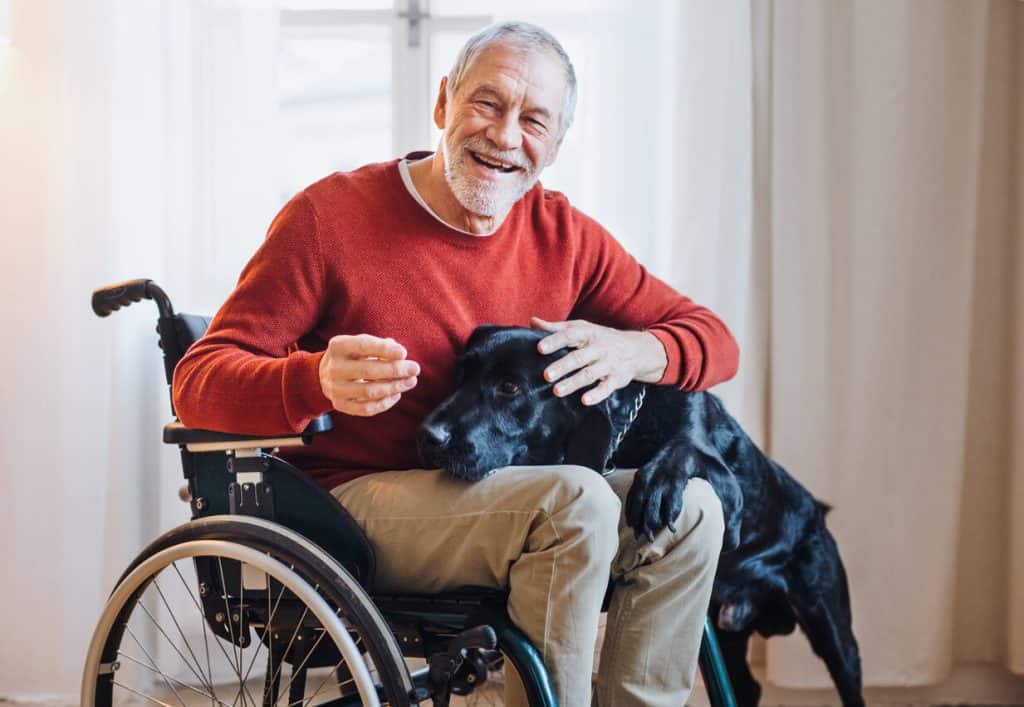 A disabled senior resident in a wheelchair indoors playing with a pet dog at home, home assisted living