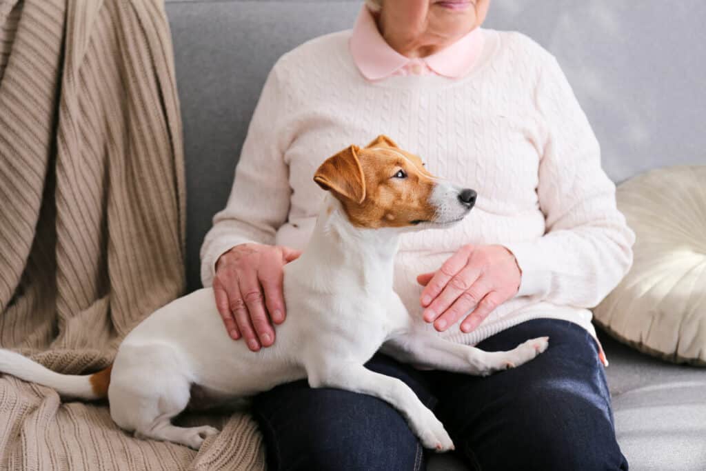 Elderly adult sitting with their favorite companion dog and enjoying the day