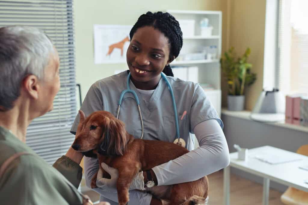 Senior visiting the veterinarian with their best companion dog