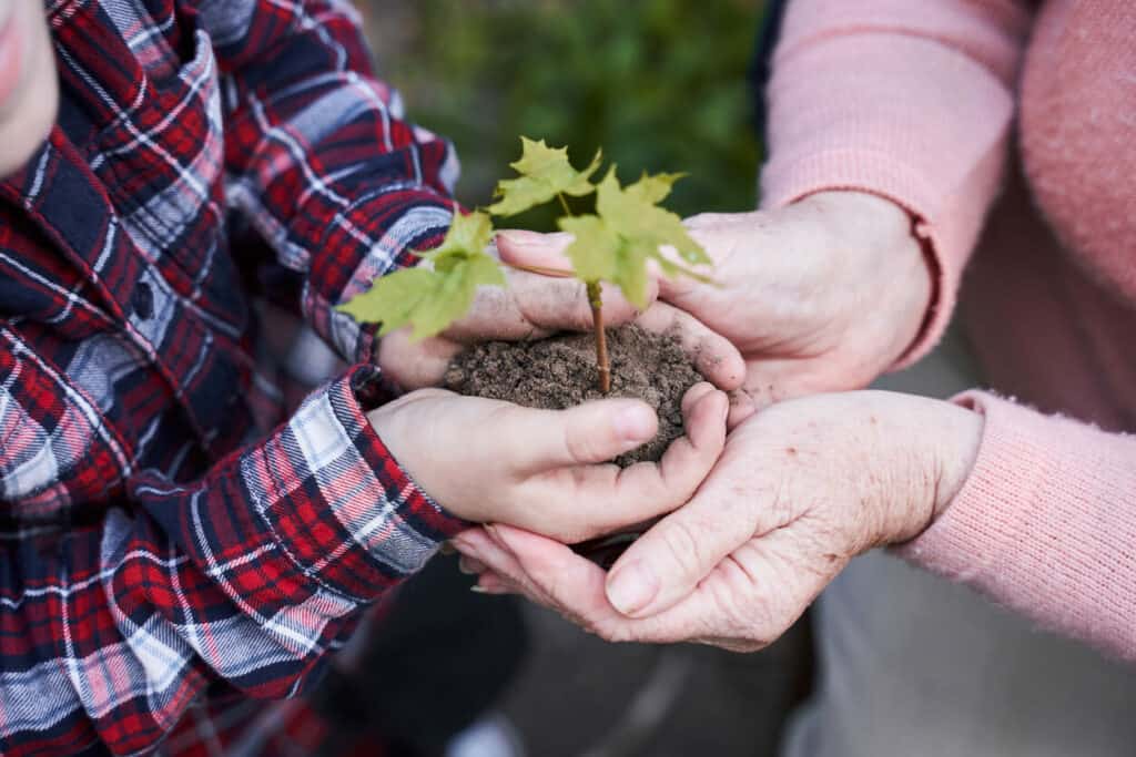 A senior’s hand holding a grandchild’s hand with a plant and a handful of soil in it as a sign of legacy.