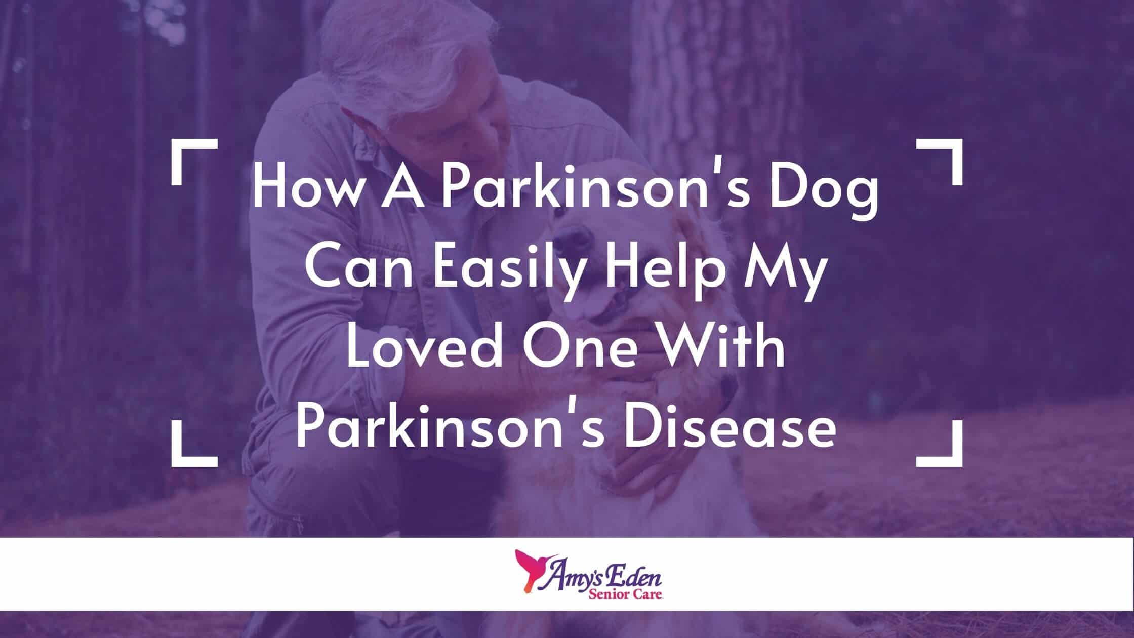 parkinsons dog