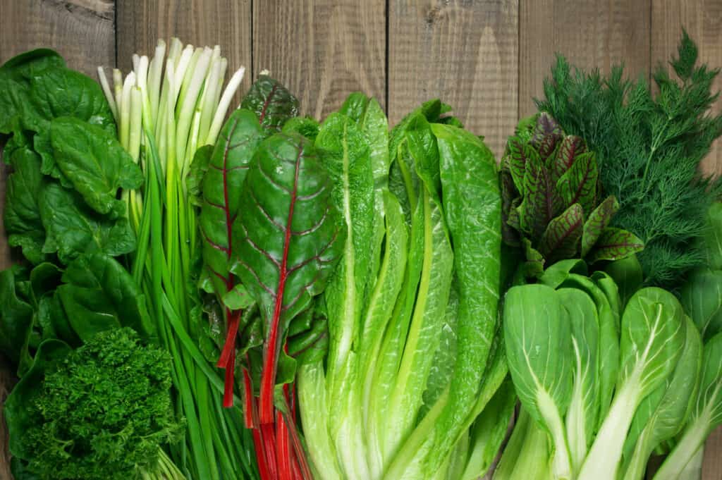 spinach, kale, swiss chard | super food for diabetes