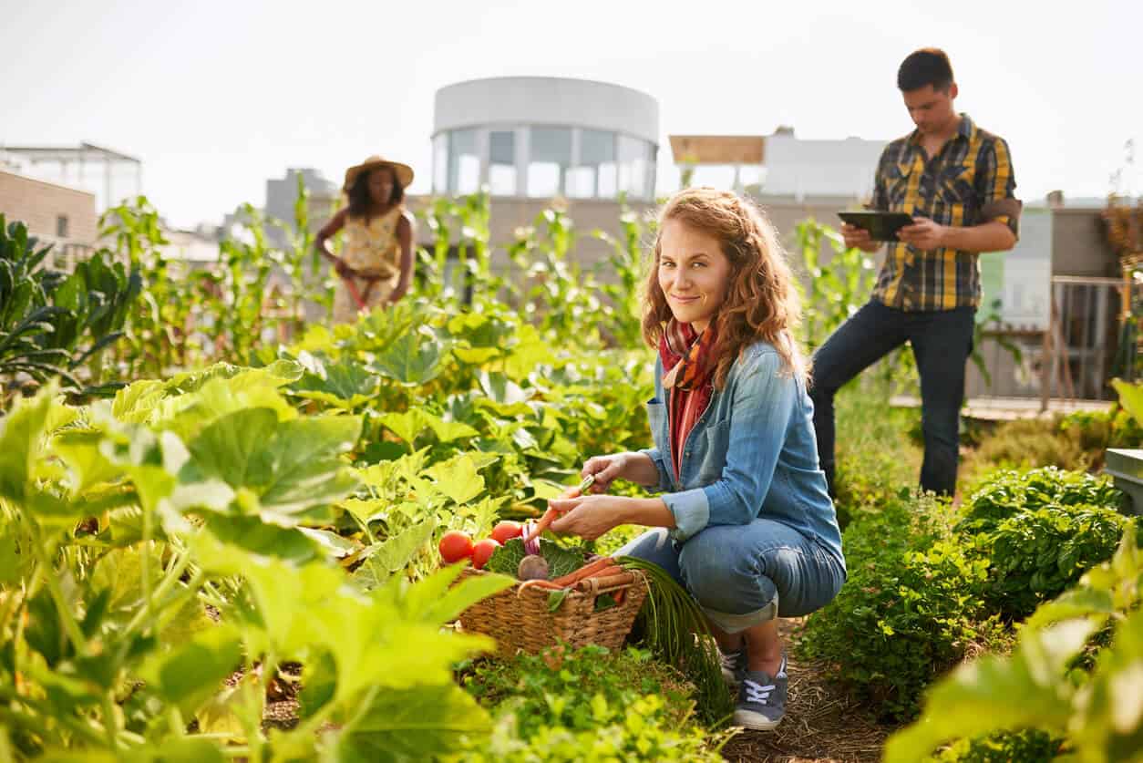 joining local community and participating in various activities like gardening will help avoid isolation