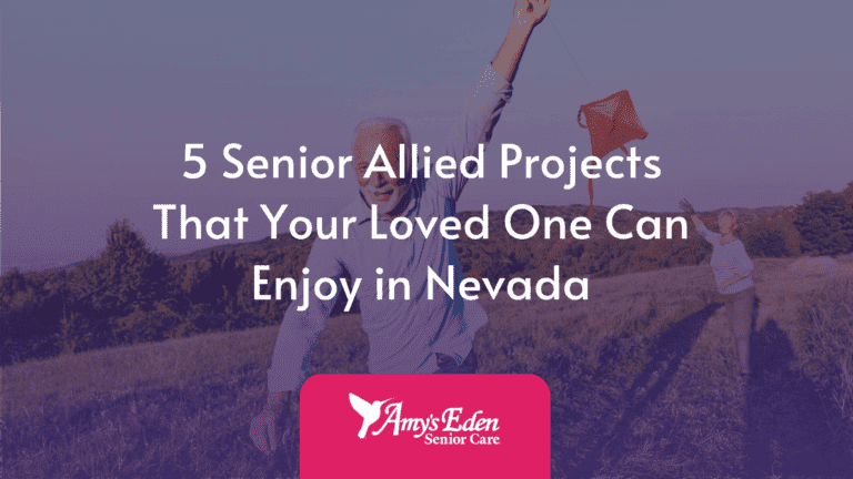 seniors allied project