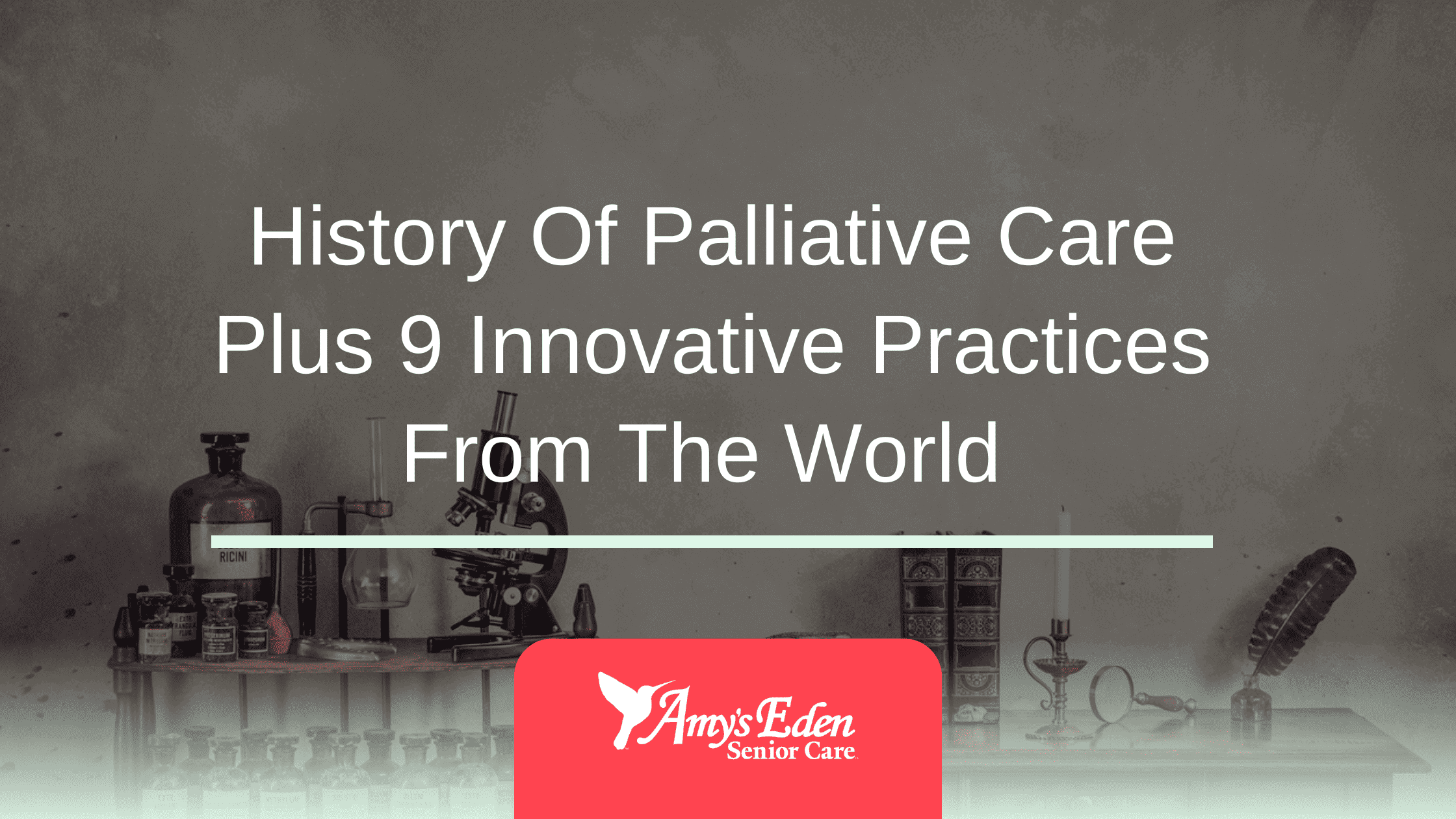 history of palliative care
