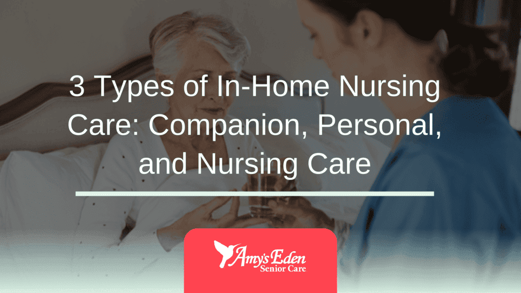 3 Types of In-Home Nursing Care: Companion, Personal, and Nursing Care