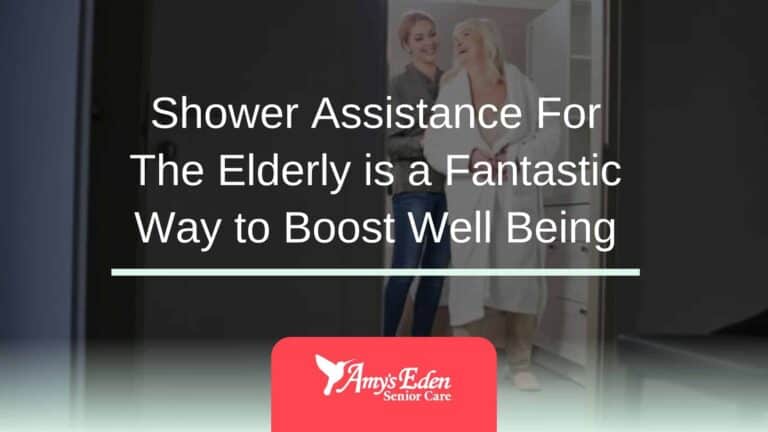 Shower Assistance For The Elderly is a Fantastic Way to Boost Well Being