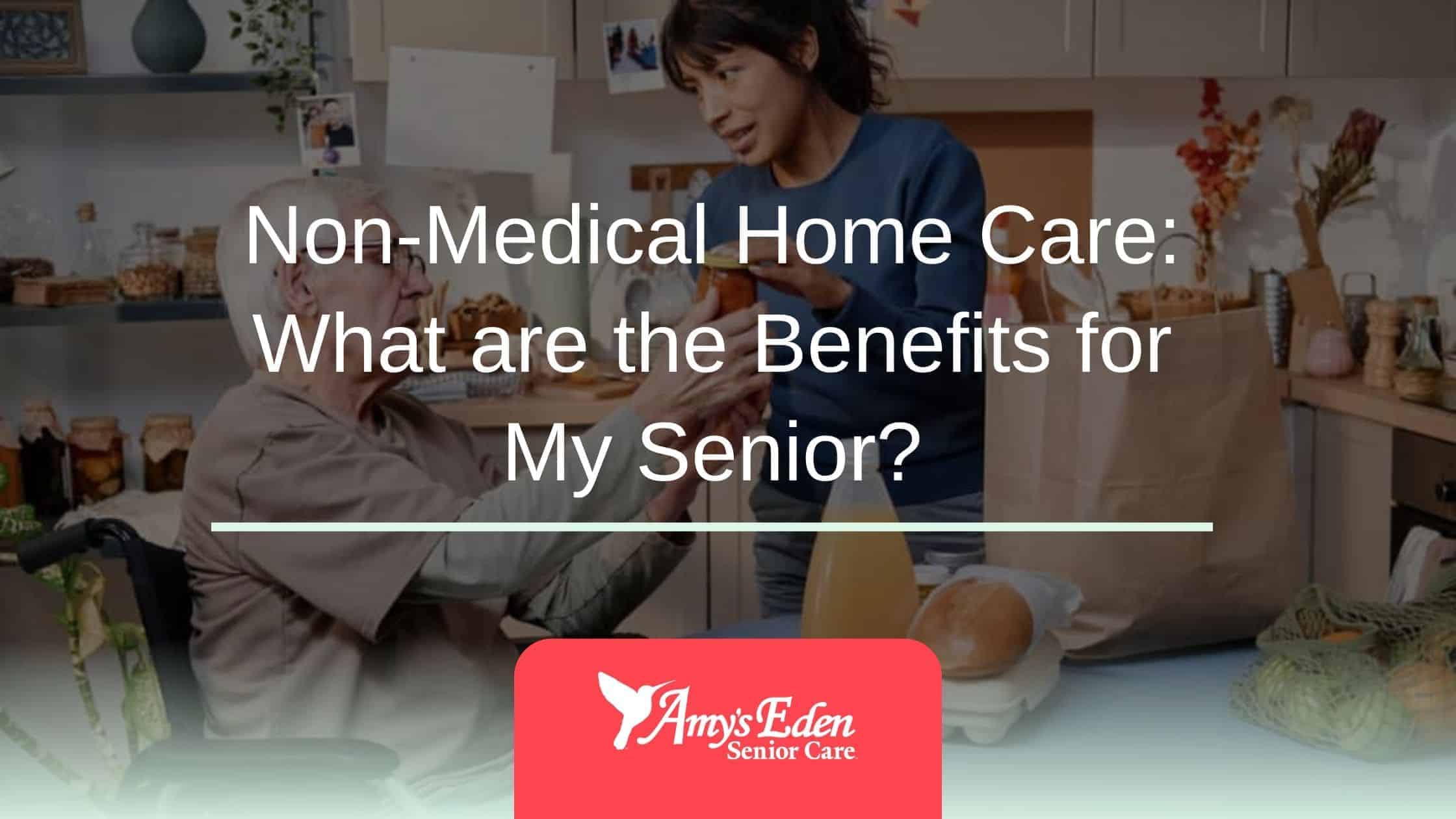 Non-Medical Home Care: What are the Benefits for My Senior?