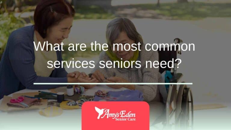 What are the most common services seniors need?