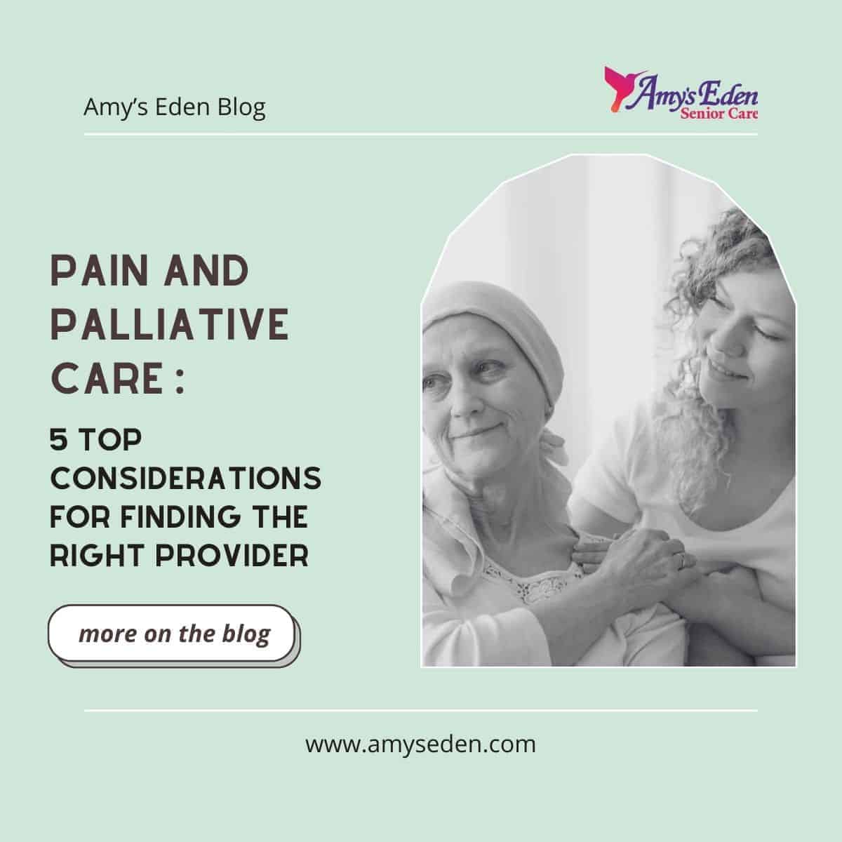 pain and palliative care