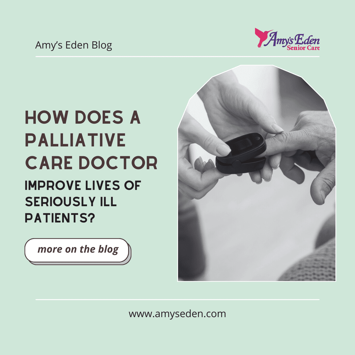 palliative care doctor