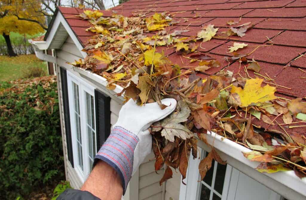 home maintenance clearing gutters - maintenance-free assisted living
