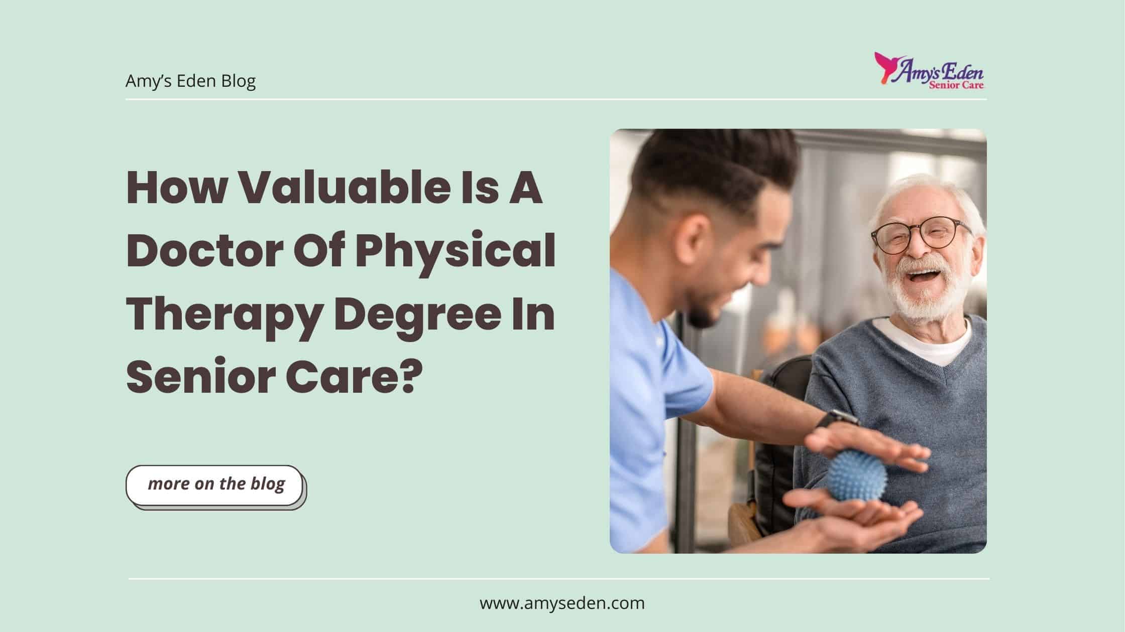 doctor of physical therapy