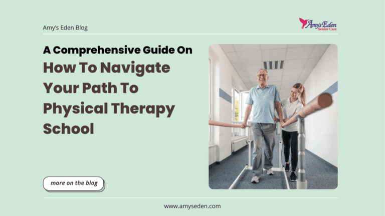 A Comprehensive Guide On How To Navigate Your Path To Physical Therapy School