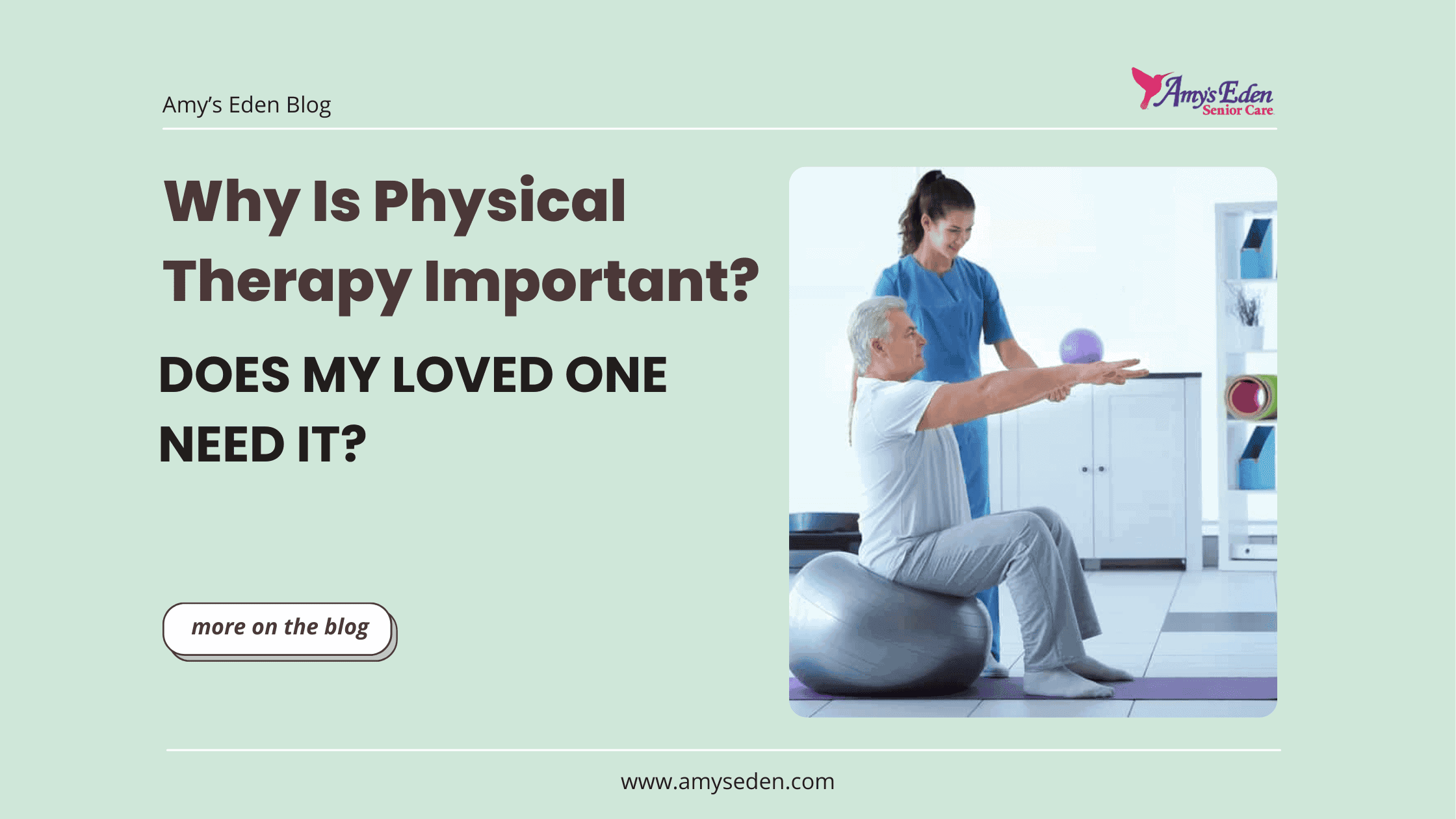 Why Is Physical Therapy Important Does My Loved One Need It