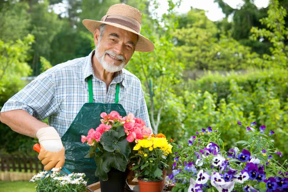 a senior gentleman gardening at a nursing care facility