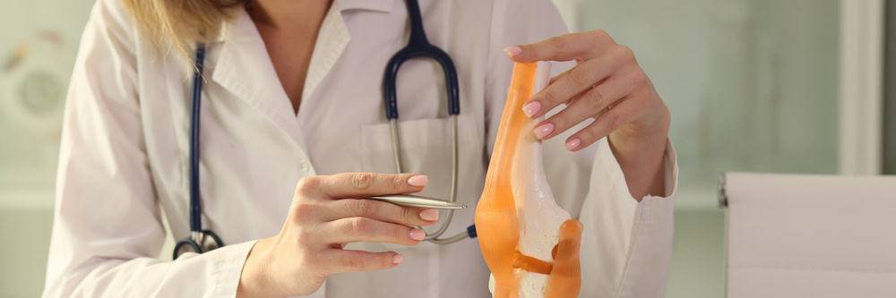 how to become a physical therapist - physical therapist pointing at a model of a knee joint