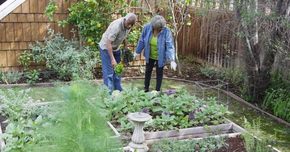 A happy couple gardening | how to care for someone with alzheimers