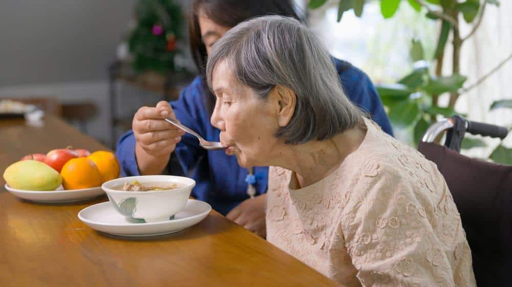 Female caregiver feeding a senior woman at home - personal care providers