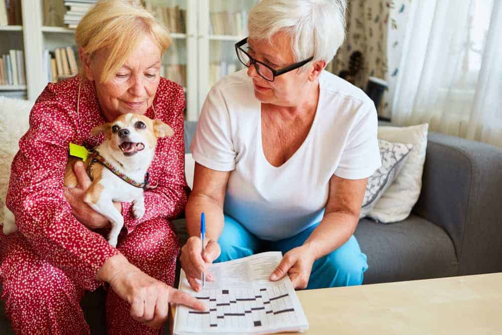 Senior women doing crossword puzzles - group homes for the elderly