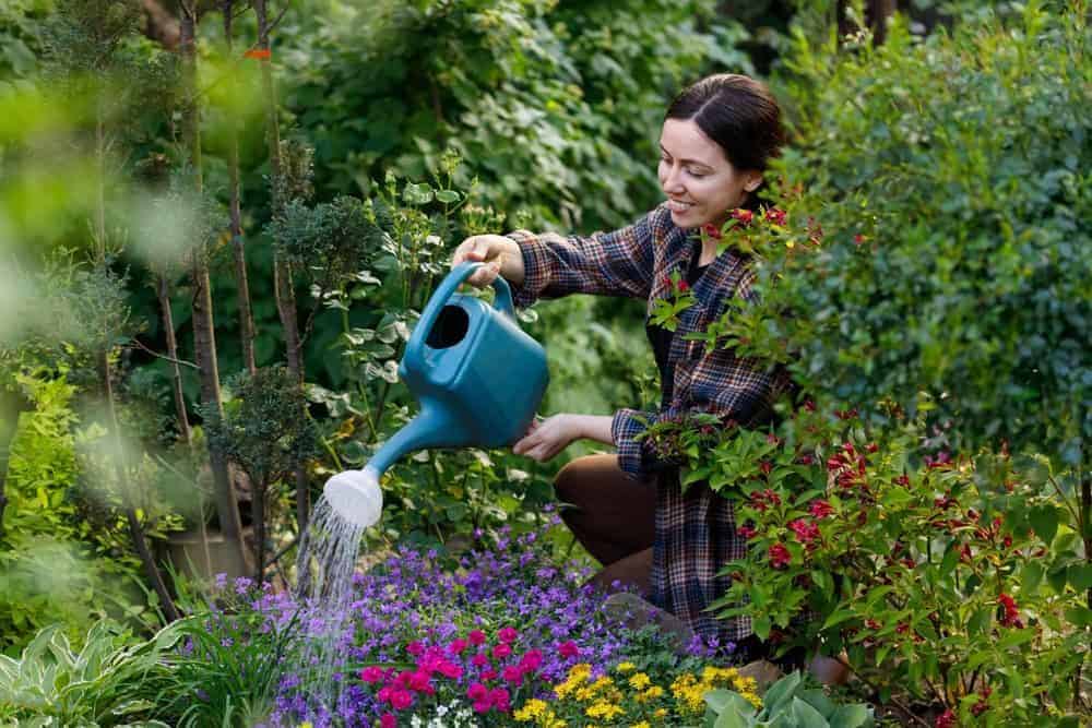 a young caregiver enjoying helping her client with gardening | home caretaker services