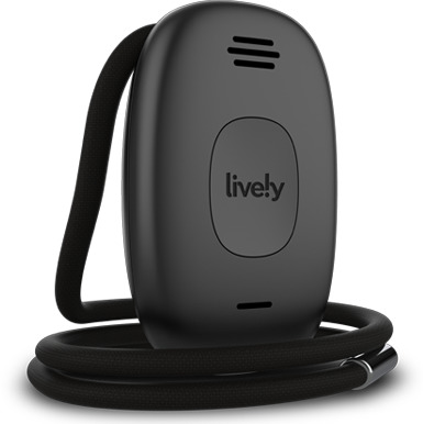 GreatCall – Lively Mobile 2