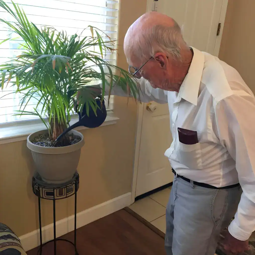 Amy's Eden comfortable bedroom