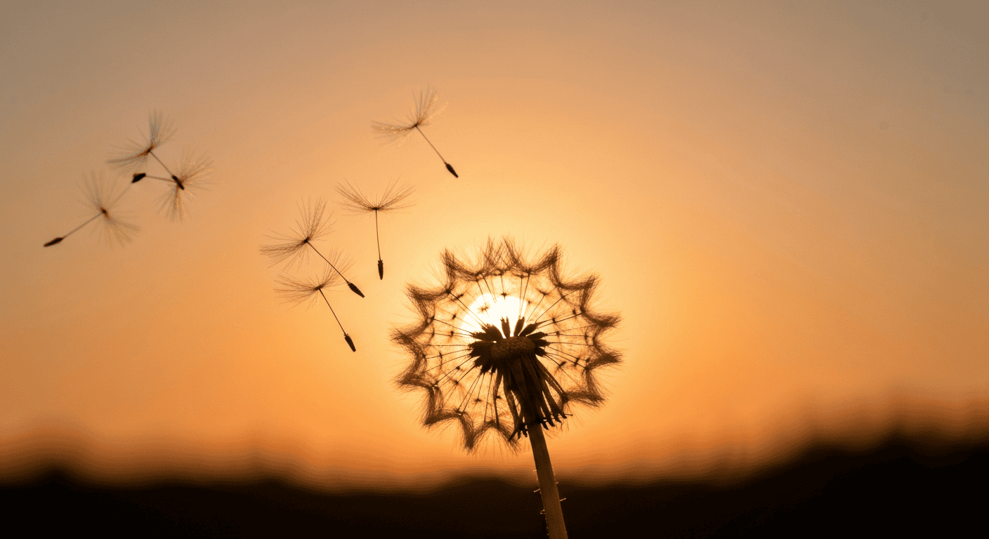 A dandelion losing its seeds, symbolizing the subtle memory loss associated with early dementia symptoms.